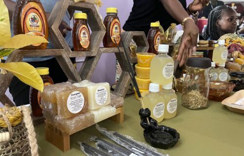 Showcases of Vetiver Innovation