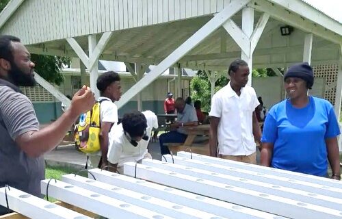 Press Release:  Pares Secondary Receives Hydroponic Unit from GARD Center