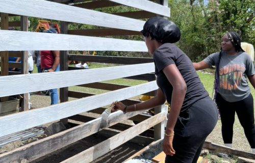 Growing More Than Plants at GARD Center